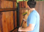 staining fences and screen posts 007